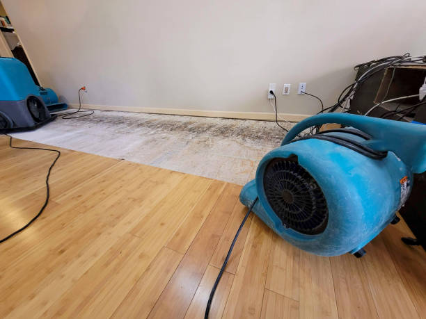 Professional Basement Flood Cleanup technician working in Langlois, OR